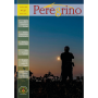 Peregrino 227